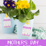 mother's day flower pot gift