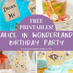 Alice in Wonderland Birthday Party