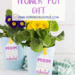 mother's day flower pot gift