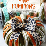 Canning Ring Pumpkins