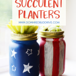 Patriotic Succulent Planters DIY