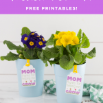 mother's day flower pot gift