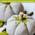 DIY Concrete Pumpkins