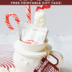 DIY Hot Cocoa Gift Idea