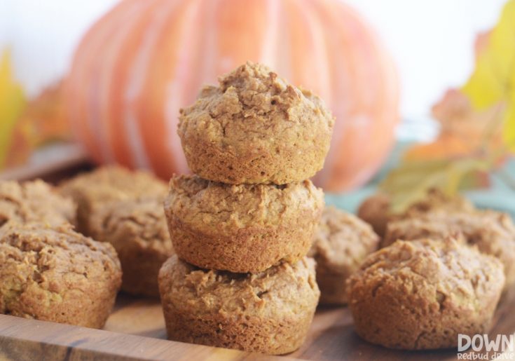 3 Ingredient Pumpkin Muffins Create Card Image