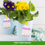 mother's day flower pot gift