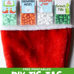 DIY Christmas Tic Tac Gift