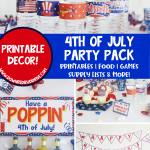 DIY 4th of July Party Decorations & Ideas