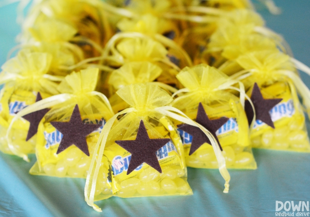 A wide closeup of the Animal Crossing bell bag party favors.