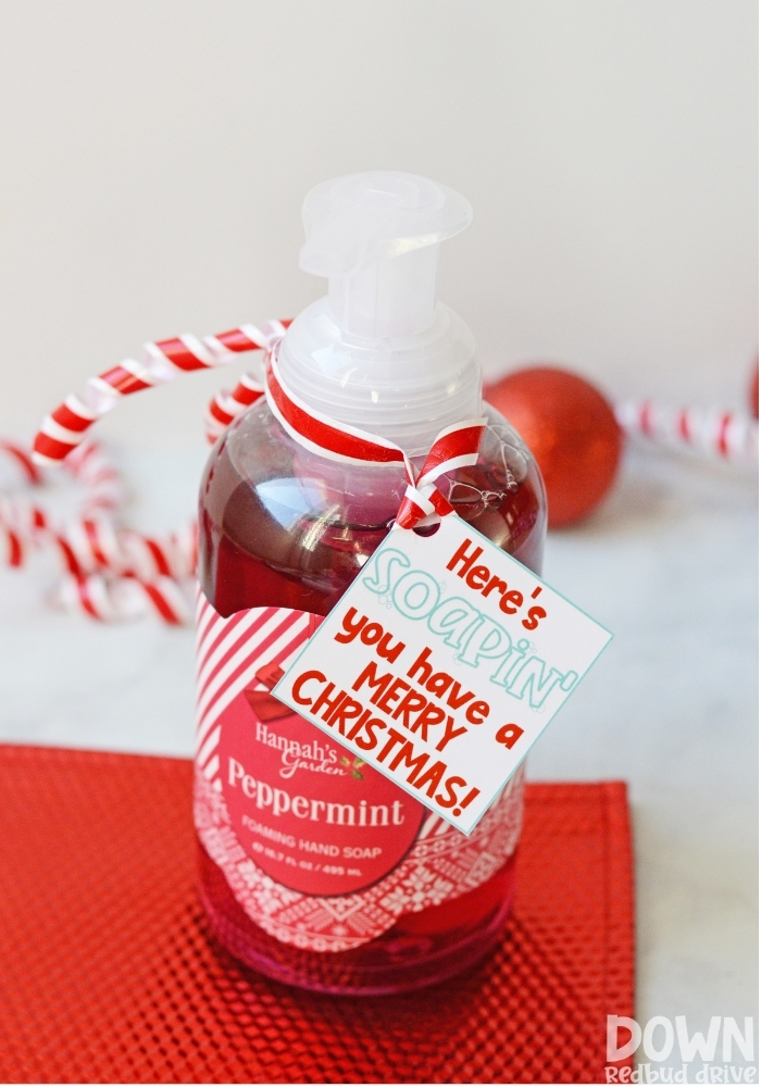 Christmas Hand Soap Gift DIY main tall image.