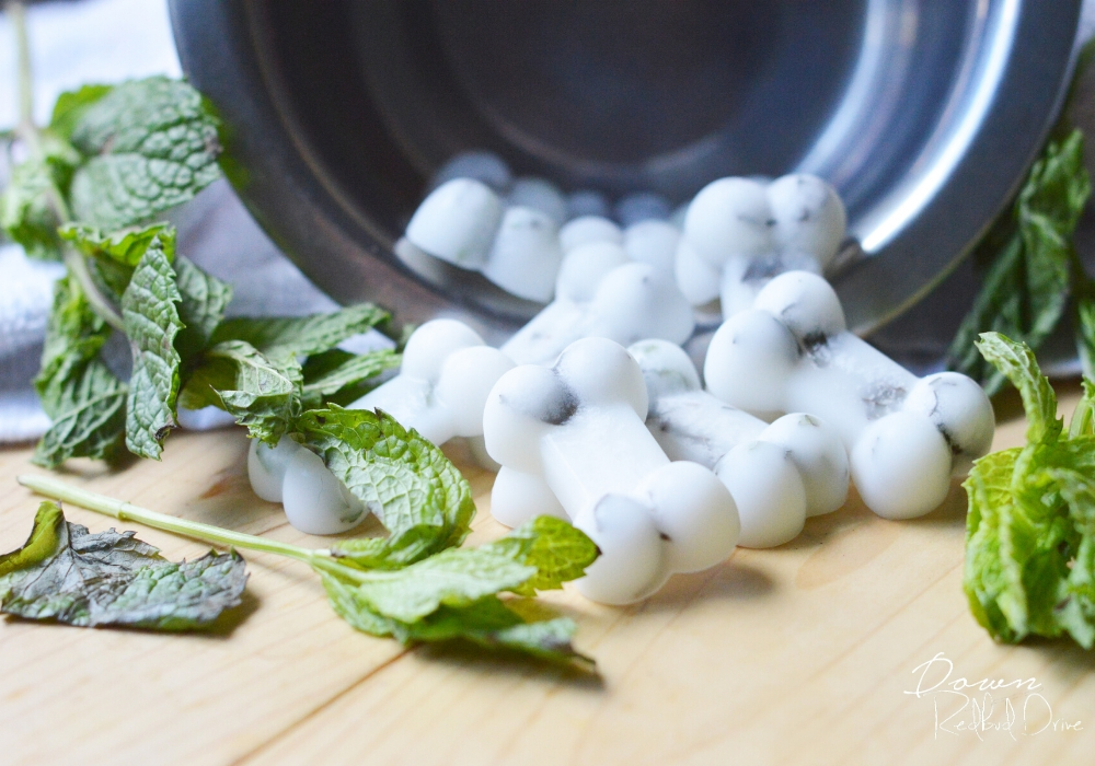 Coconut Oil and Mint Dog Treats Recipe