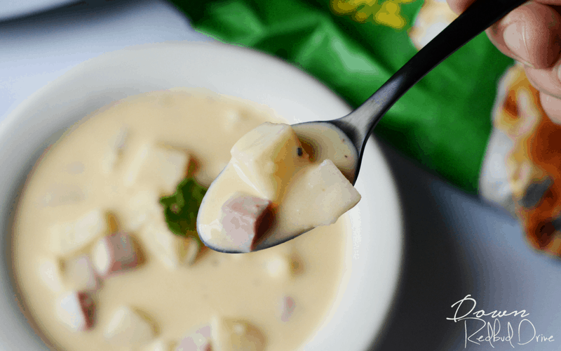 Crockpot Ham and Cheese Soup