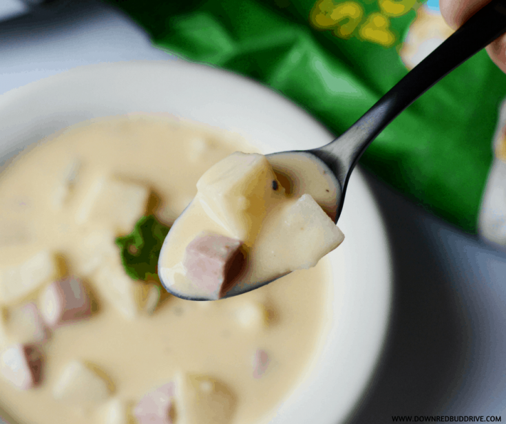 Crockpot Ham and Cheese Soup