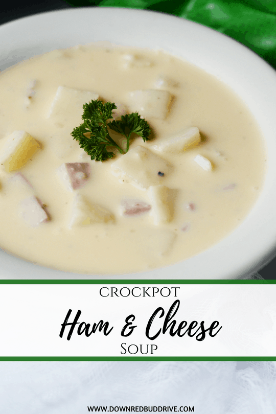 Crockpot Ham and Cheese Soup