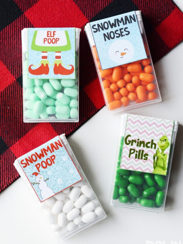 cropped-DIY-Christmas-Tic-Tac-Gift-Main-Tall.jpg