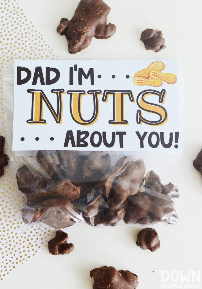 Tall close up of the finished DIY Father's Day I'm Nuts About You Candy Gift.