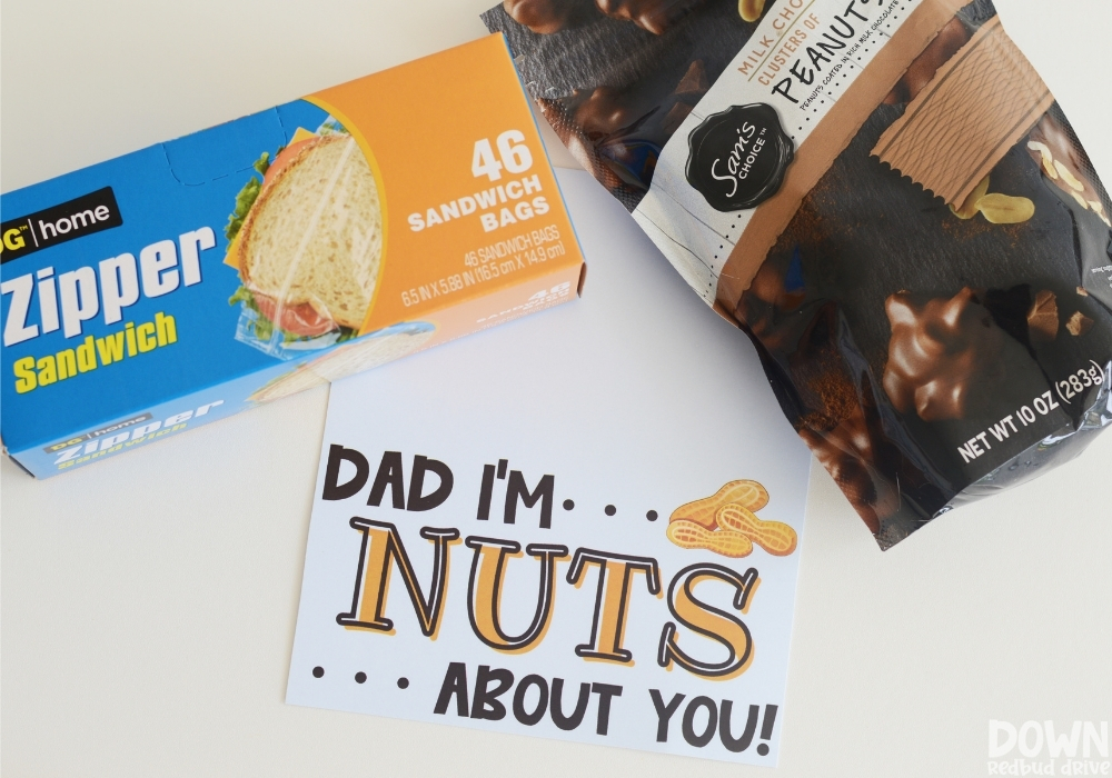 Overhead view of the supplies for the DIY Father's Day I'm Nuts About You Candy Gift.