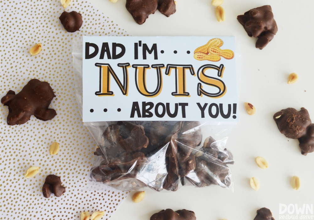 The finished DIY father's day candy gift surrounded by peanuts and chocolate peanut clusters.