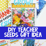 DIY Teacher Seeds Gift