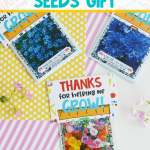 DIY Teacher Seeds Gift