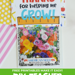 DIY Teacher Seeds Gift