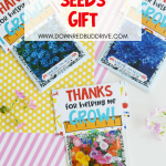 DIY Teacher Seeds Gift