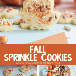 Fall Sprinkle Cookies