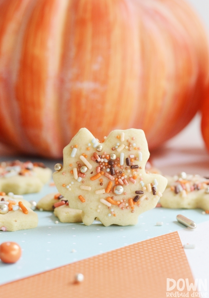 A tall closeup of the Fall Sprinkle Cookies.