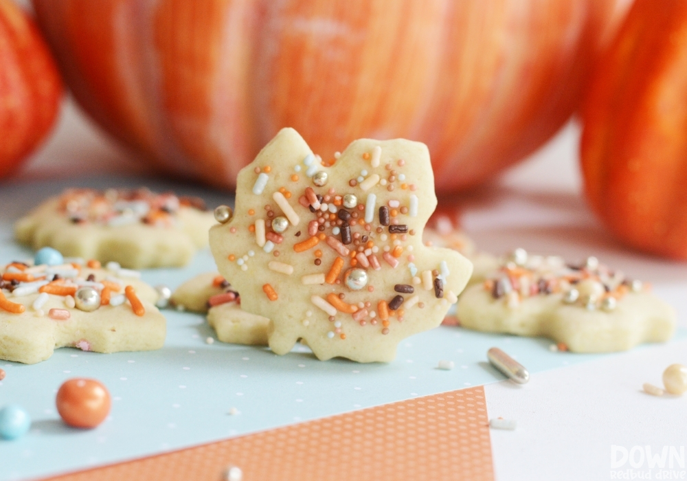 A closeup of the finished Fall Sprinkle Cookies.