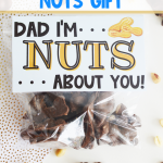 Father's Day Nuts Gift