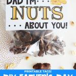 Father's Day Nuts Gift