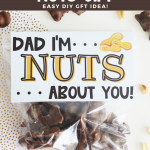 Father's Day Nuts Gift