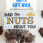 Father's Day Nuts Gift