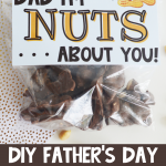 Father's Day Nuts Gift