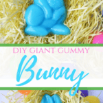 DIY Giant Gummy Bunny