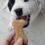 homemade dog treats