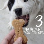 homemade dog treats