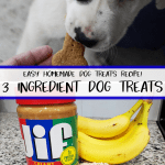 homemade dog treats