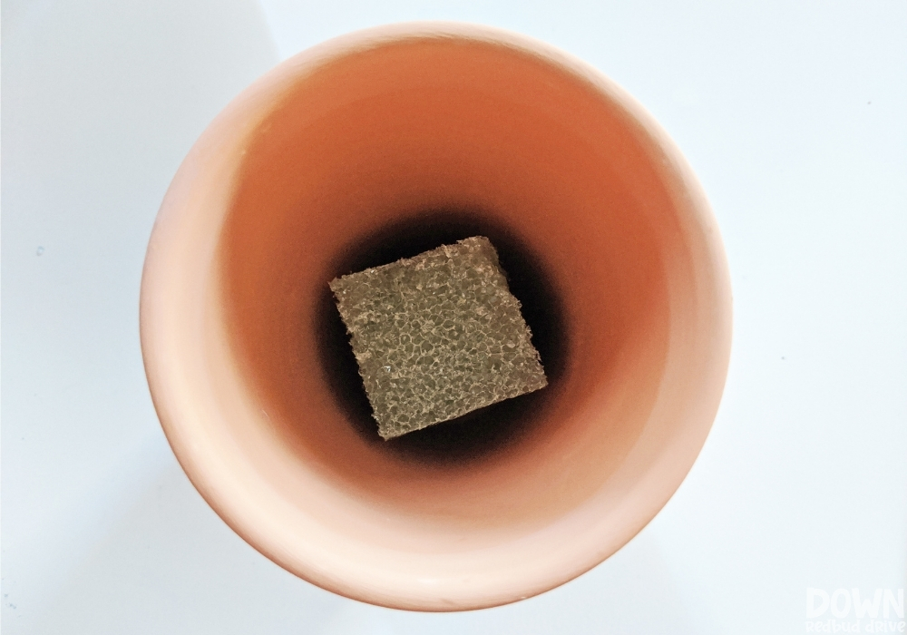 Overhead shot of a piece of floral foam in a small clay pot.