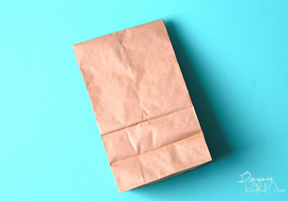 brown paper sack on an aqua colored background