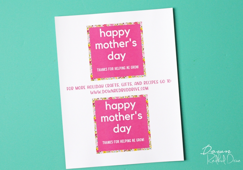 mother's day bulbs printable tags