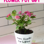 DIY Mother's Day Cricut Flower Pot gift