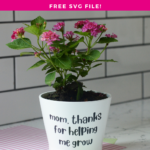 DIY Mother's Day Cricut Flower Pot gift