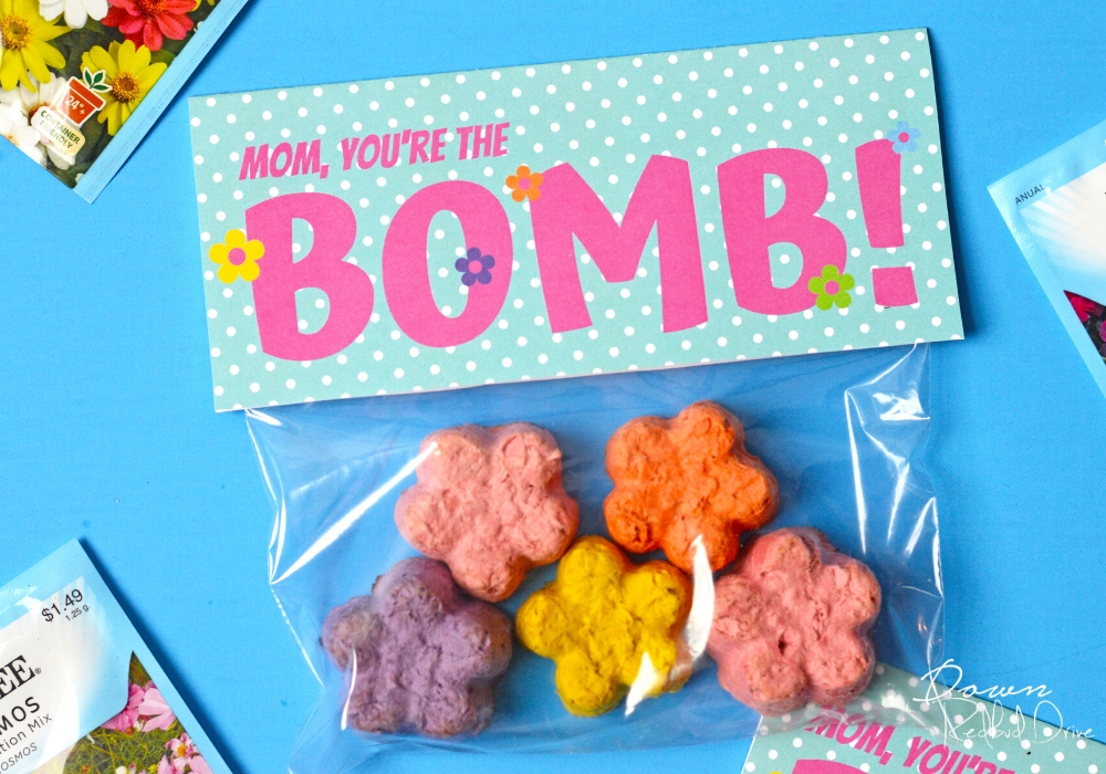 mother's day diy seed bombs