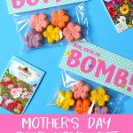 Mother's Day DIY Seed Bombs