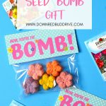 Mother's Day DIY Seed Bombs