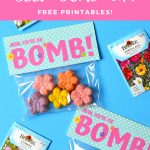 Mother's Day DIY Seed Bombs