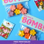 Mother's Day DIY Seed Bombs