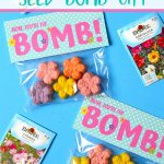 Mother's Day DIY Seed Bombs