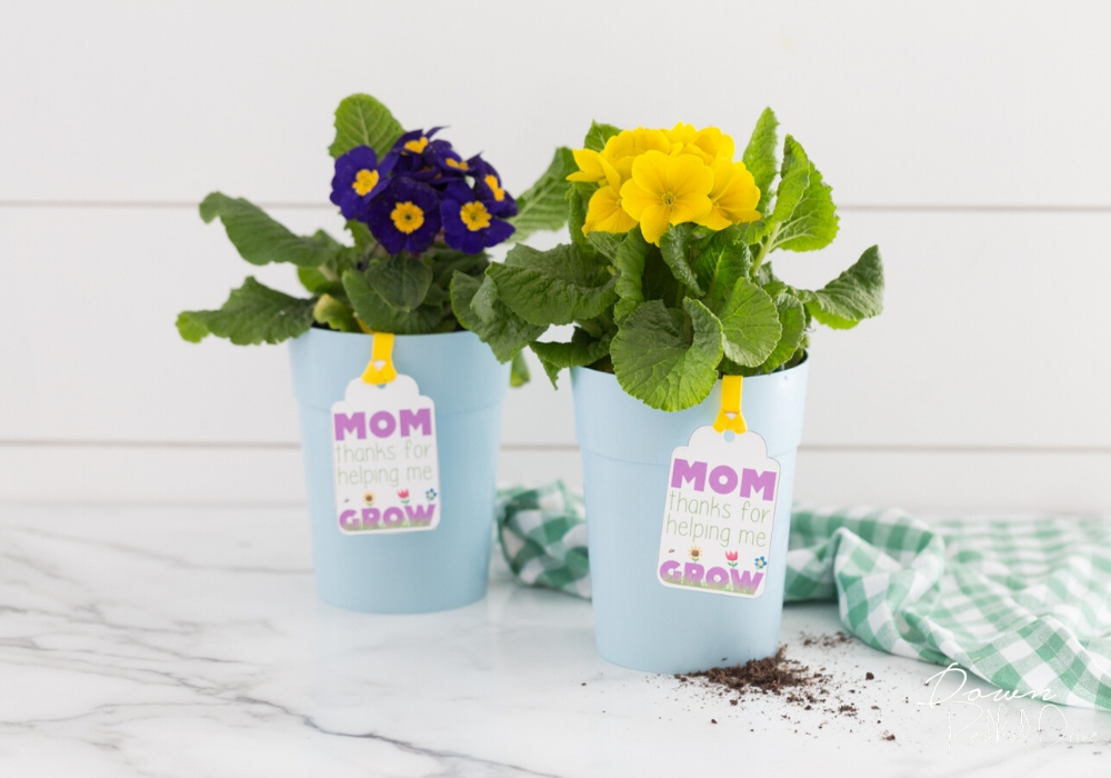 mother's day flower pot gift